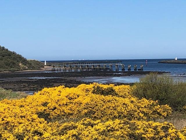 The Sea Loft Castlerock.公寓 外观 照片